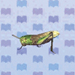 migratory locust