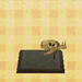 dimetrodon skull