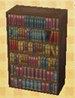 large bookshelf