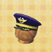 pilot's hat