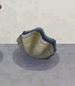 giant-clam shell